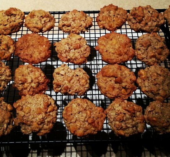 butterscotch oatmeal cookies cooling off