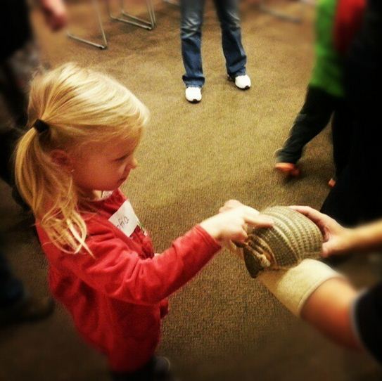 sofia touching armadillo
