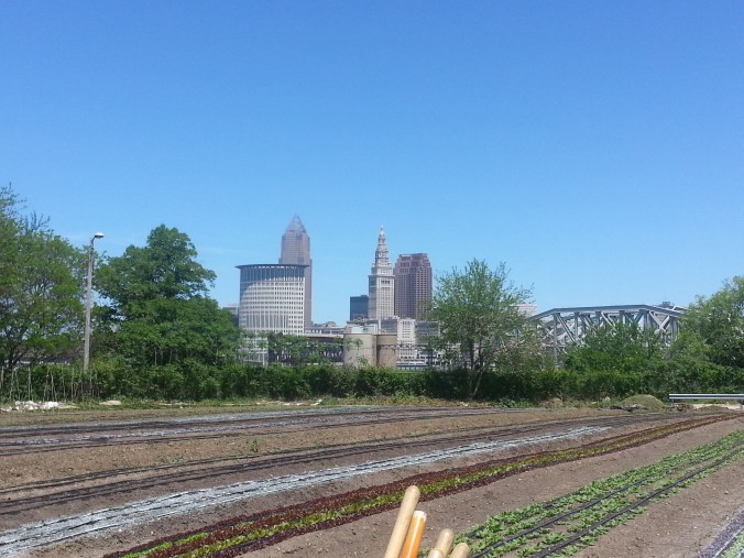ohio city farm
