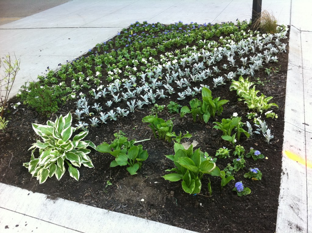 our garden - almost finished