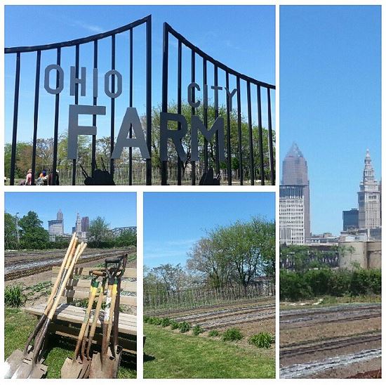 ohio city farm