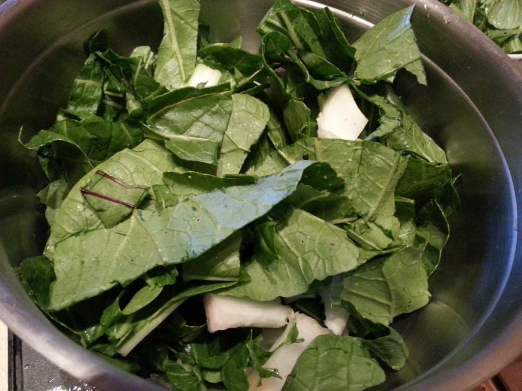 this is only like 1/3 of the bok choy we had.