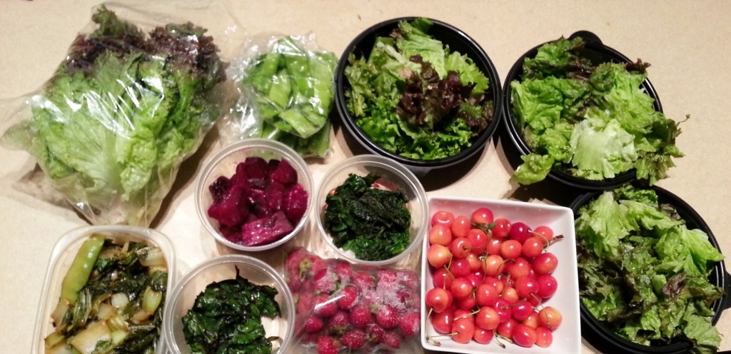 fresh fork week 4 prepared