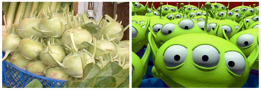You tell me. Kohlrabi? Or alien?