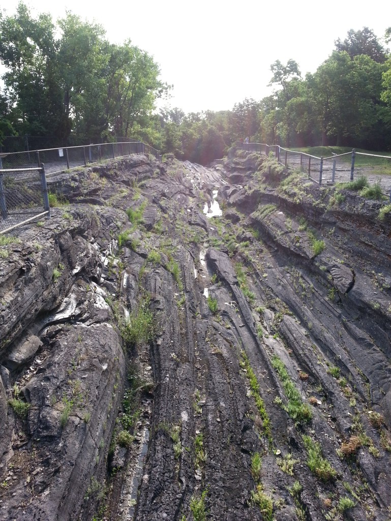 The next morning B and I got up early and went for a short run around the island. We stopped to admire the glacial grooves that are on the island 