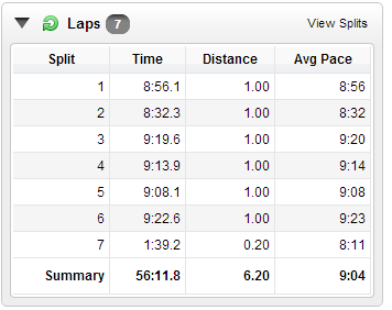 Splits according to Brian's garmin