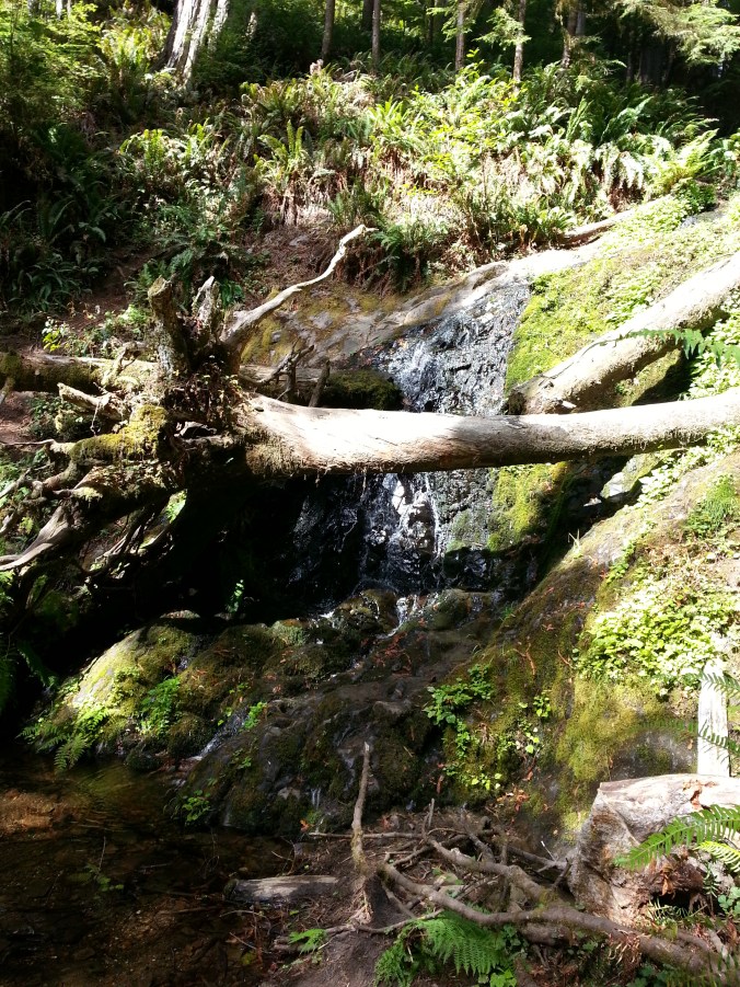 and this is where the path ended?