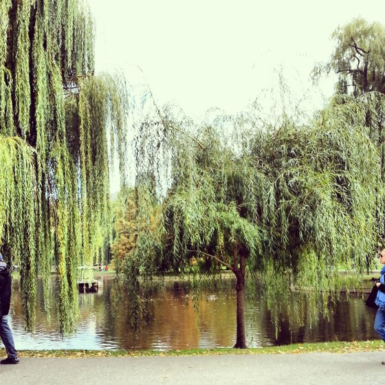 boston public garden