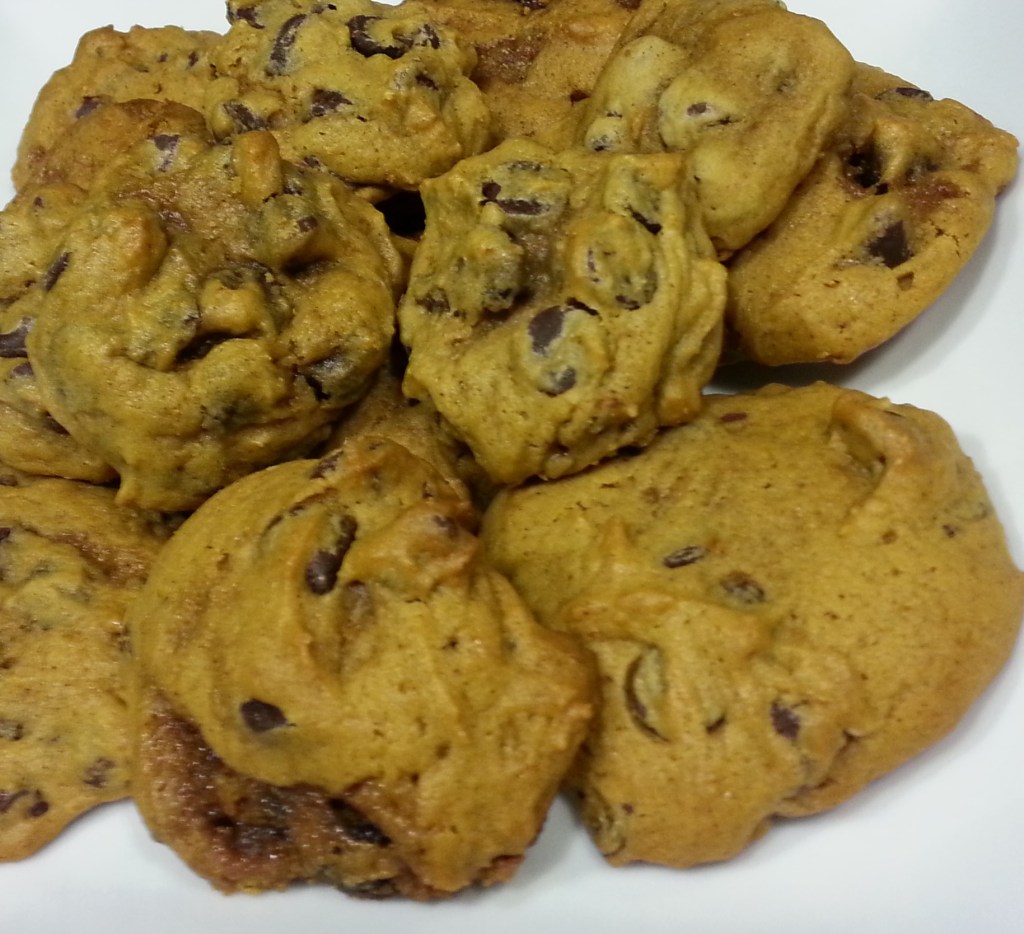 pumpkin chocolate chip cookies - i crashed the web