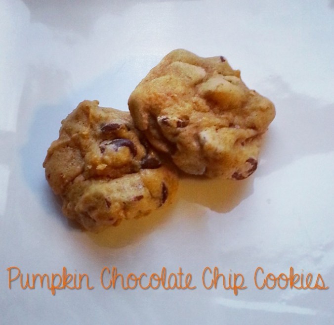 pumpkin chocolate chip cookies - i crashed the web