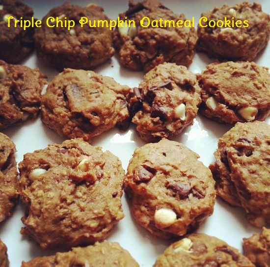 pumpkin triple chip oatmeal cookies - i crashed the web