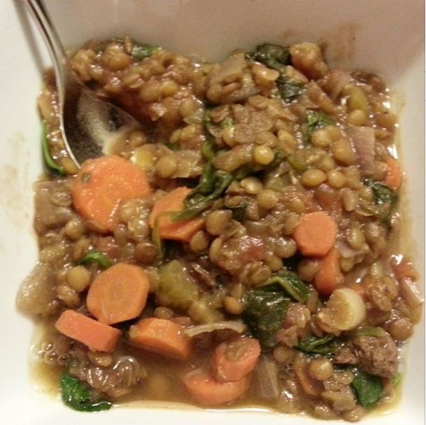 beef, lentil, and spinach stew - i crashed the web