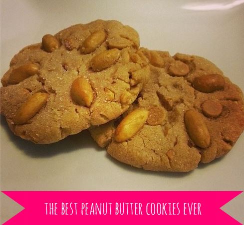 peanut butter cookies - i crashed the web