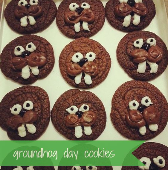 groundhog cookies for groundhog day - i crashed the web