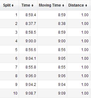 These are times from B's watch - he and I ran together for about 10 miles.