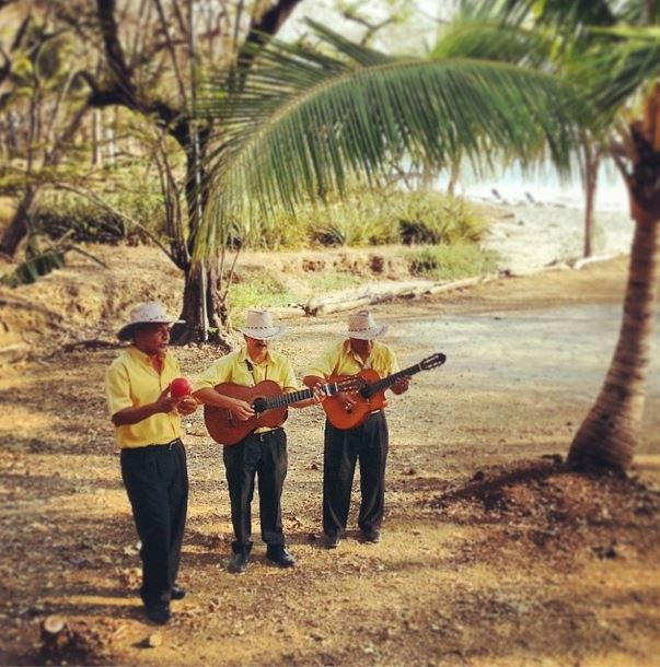 mariachi band at the wedding