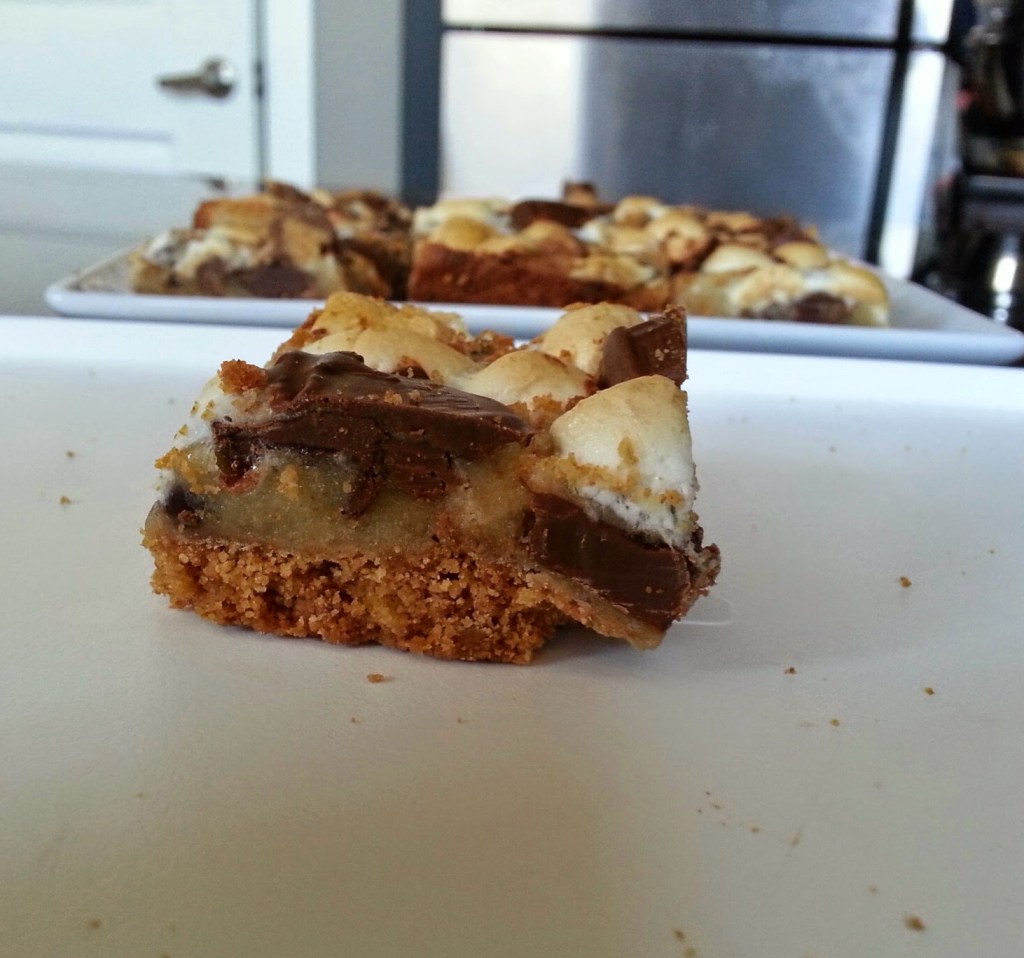 reeses smores cookie bars - i crashed the web
