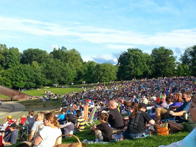 A shot of the lawn - packed with people!