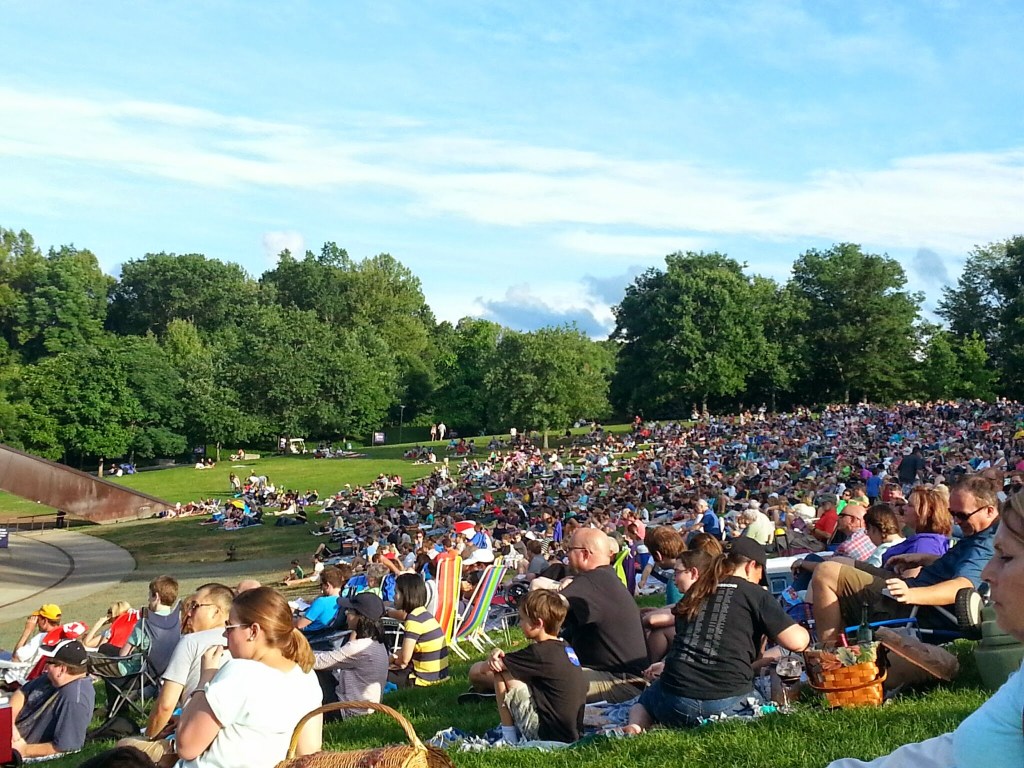 A shot of the lawn - packed with people!