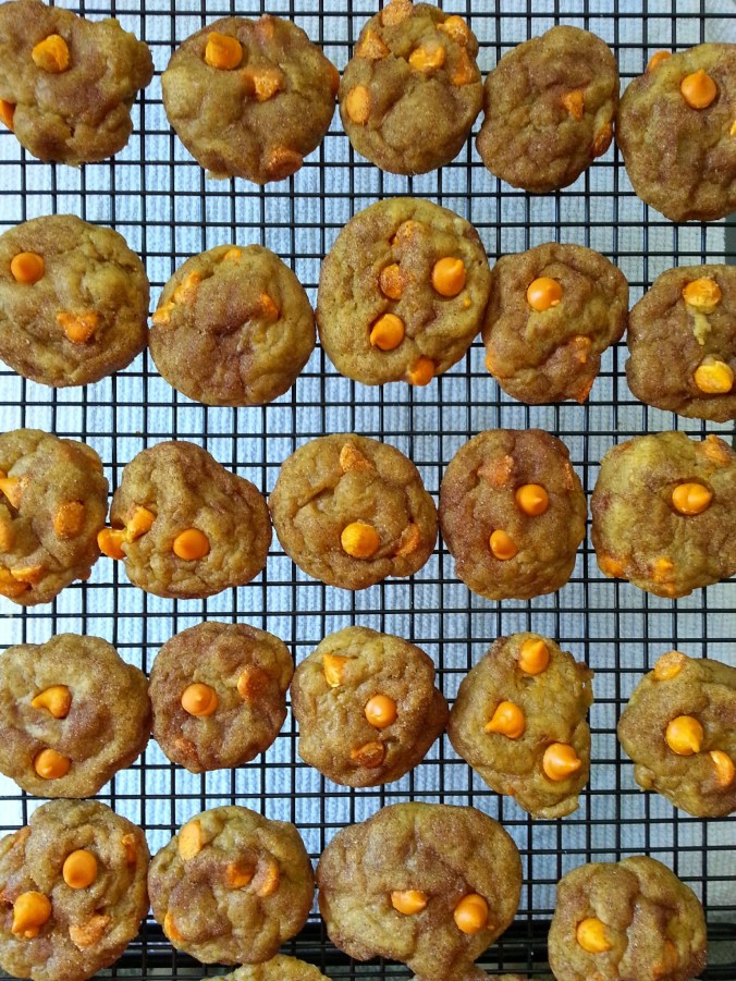 PUMPKIN SNICKEDOODLES with PUMPKIN SPICE CHIPS