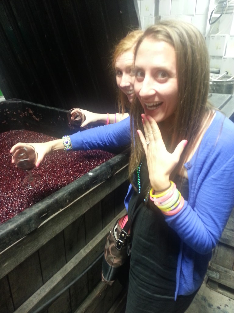 We got to see how the wine was made!