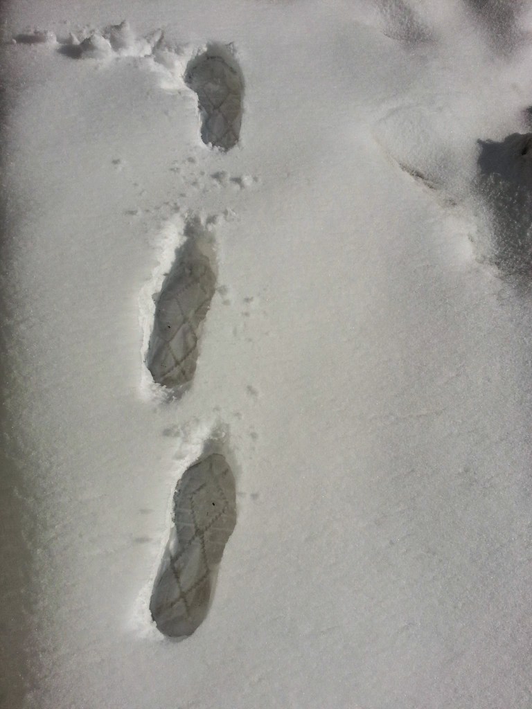 Some untouched snow- until I ran on them!