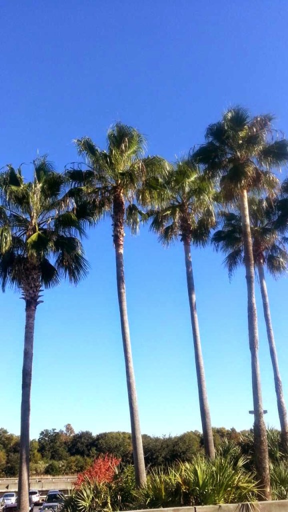 Wait ... this is November?