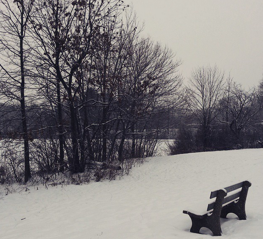 beautiful and snowy day for a run and walk