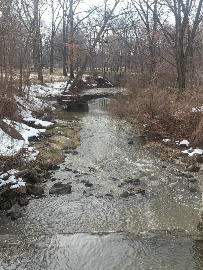 scenes from our walk