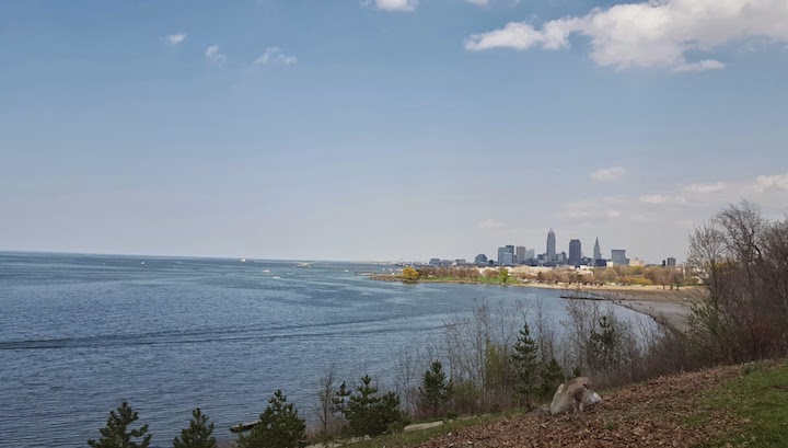 Love this view of the city.