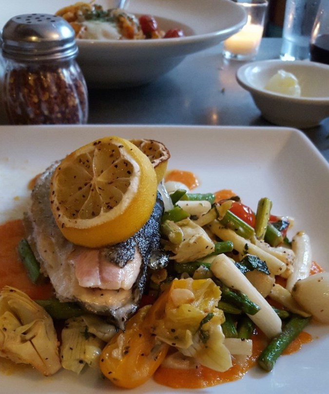 one of our dishes.  we shared a salad, some seared octopus and two entrees.