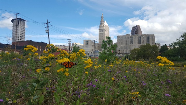 great view from our ride