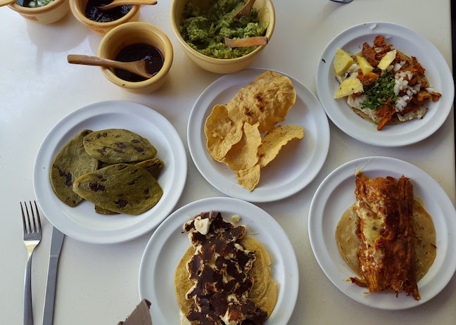 amazing tacos and guacamole and cactus.