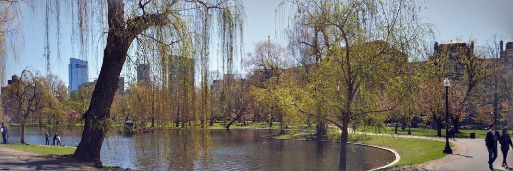 20160430_103330-PANO copy