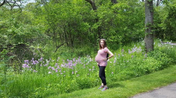 Sometimes we stop and take photos on the walk