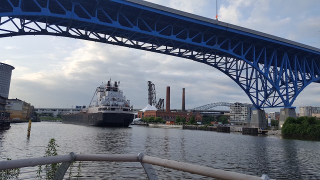 scenes from a walk with B