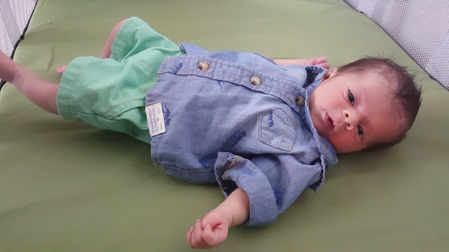 The reason I've been blogging less than usual