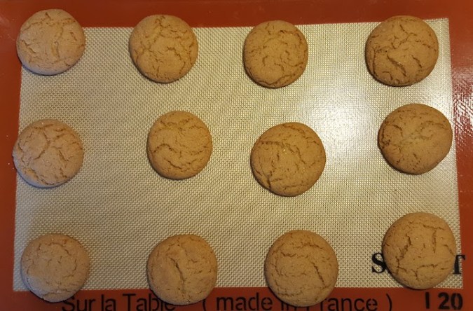 homemade gingersnaps cookies