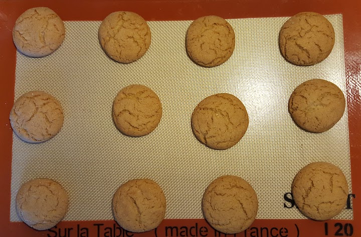 homemade gingersnaps cookies