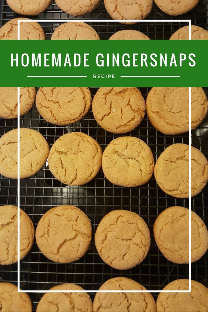 homemade-gingersnaps-cookies-recipe