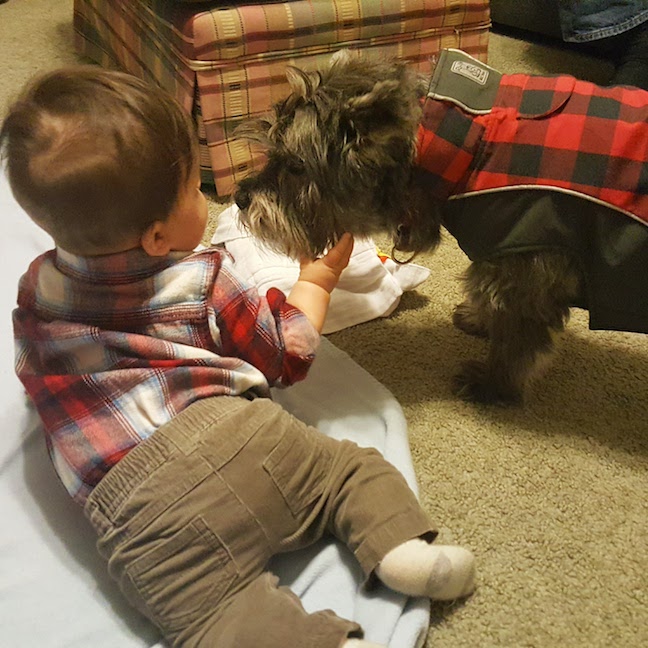 img_20161224_223109_300