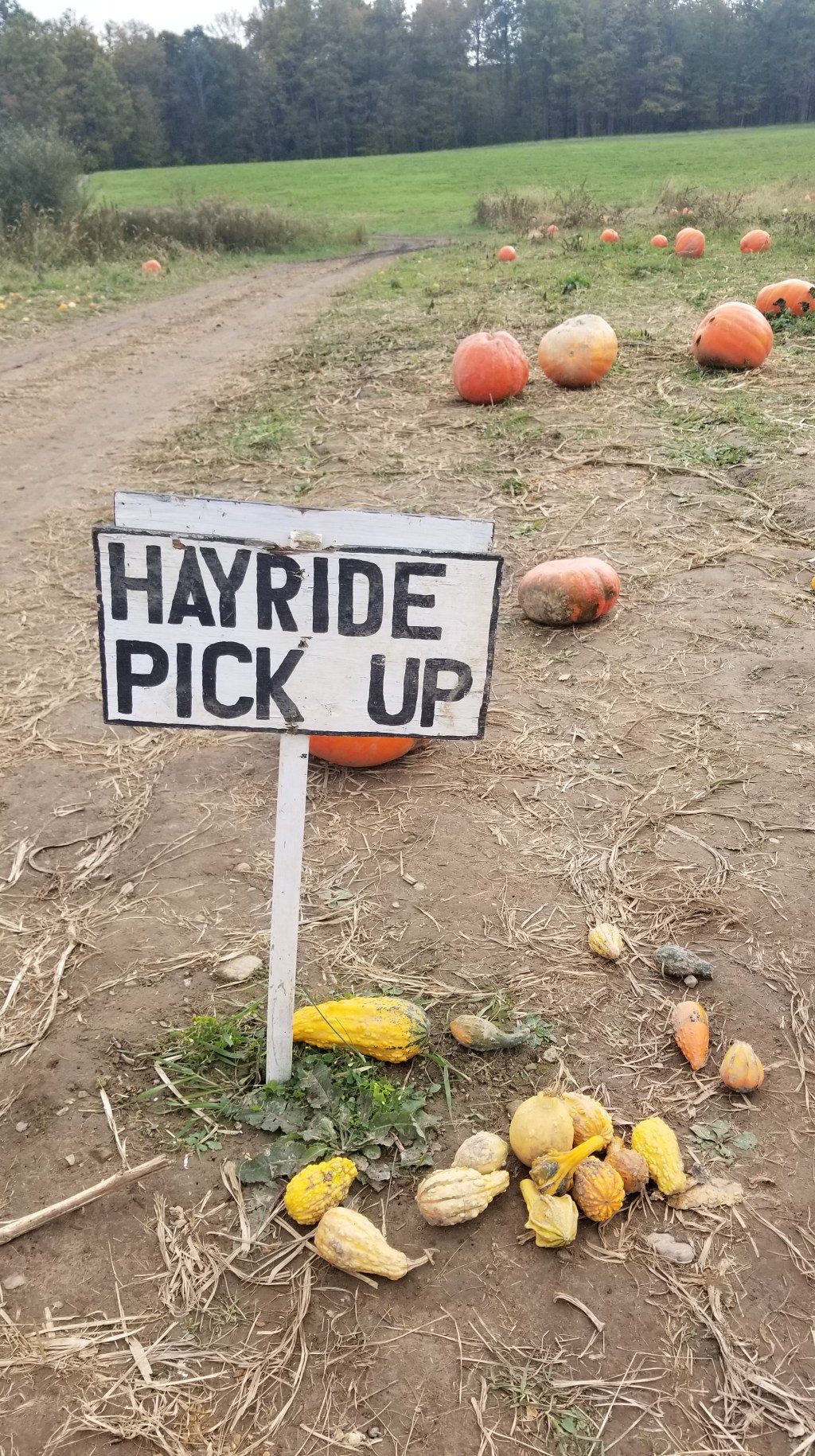 Grateful for Low-Key&nbsp;Weekends