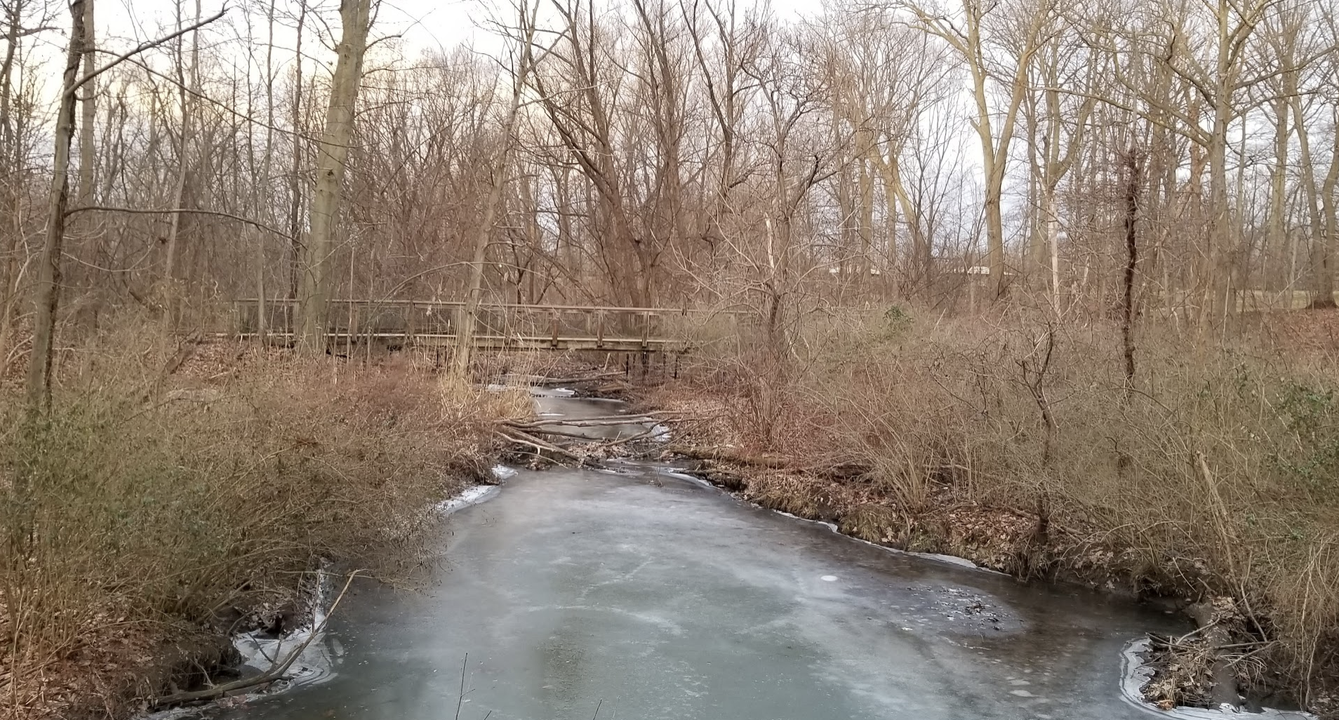 Screen Shot 2022-01-15 at 4.45.29 PM