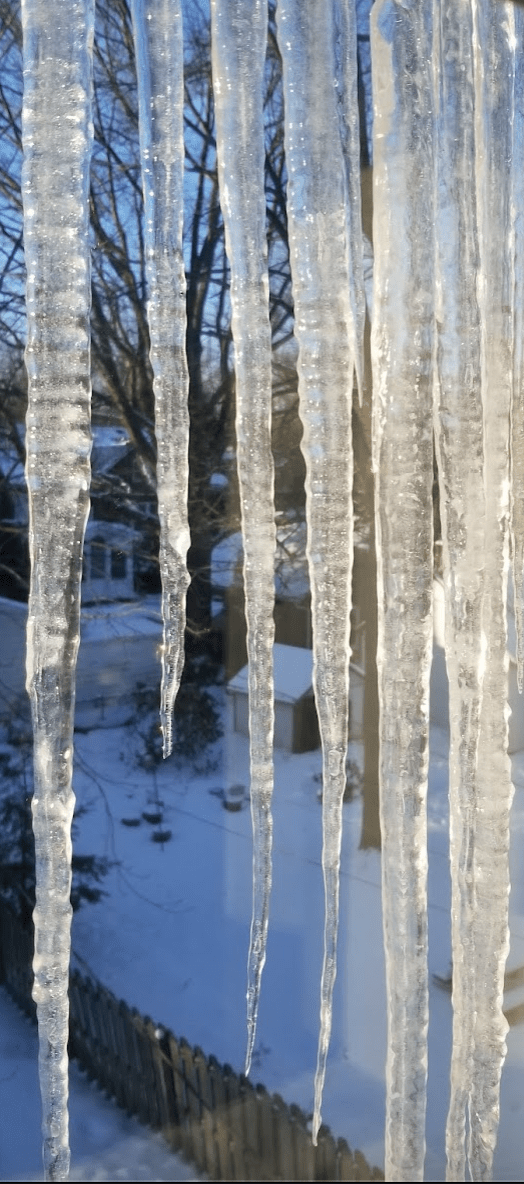 Screen Shot 2022-01-28 at 8.43.47 PM