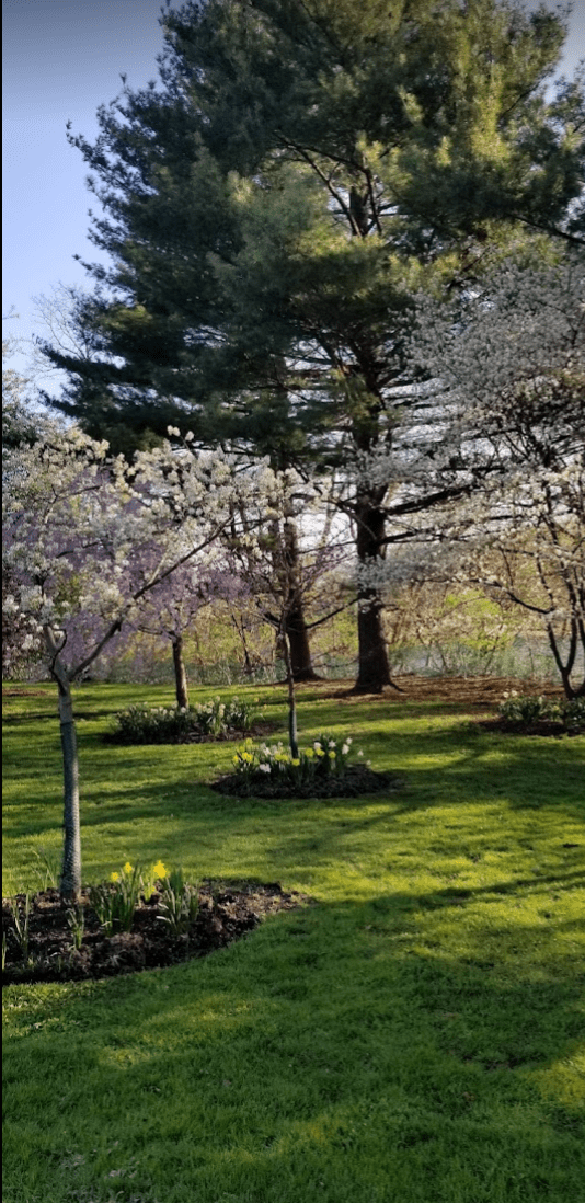 Screen Shot 2022-04-30 at 3.59.09 PM