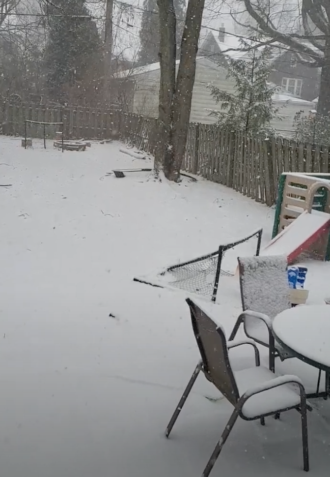 Screen Shot 2023-03-22 at 10.29.20 AM