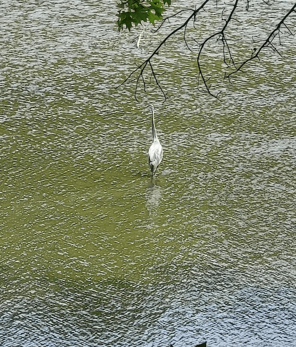 Screen Shot 2023-05-26 at 2.39.12 PM