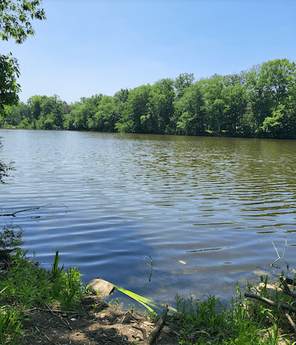 Screen Shot 2023-06-02 at 9.28.02 AM