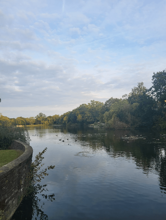 Screen Shot 2023-09-22 at 10.22.08 AM