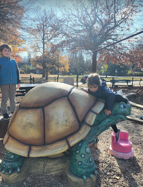 Screen Shot 2023-11-20 at 12.16.40 PM